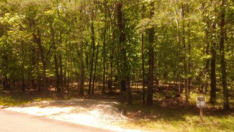 1188 Timberwood Trace Monteagle TN 37356