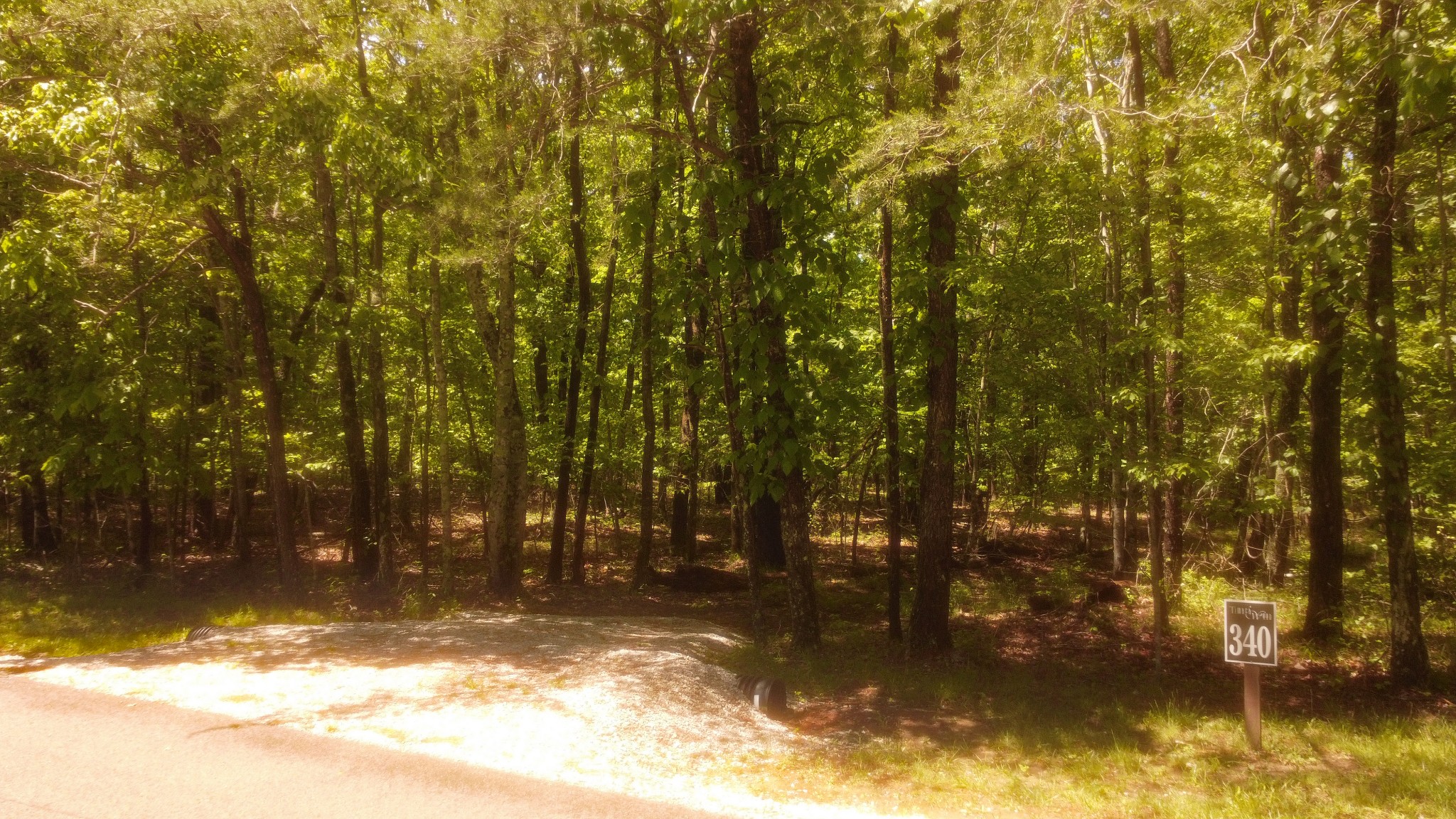 1188 Timberwood Trace Monteagle TN 37356