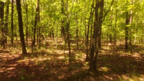 1188 Timberwood Trace Monteagle TN 37356