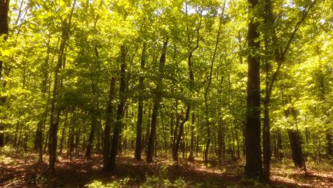 1188 Timberwood Trace Monteagle TN 37356