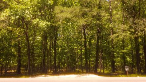 1188 Timberwood Trace Monteagle TN 37356