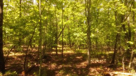 1188 Timberwood Trace Monteagle TN 37356