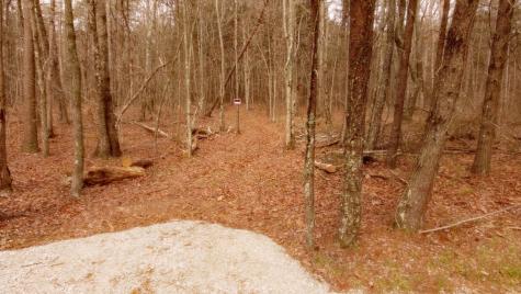 1188 Timberwood Trace Monteagle TN 37356