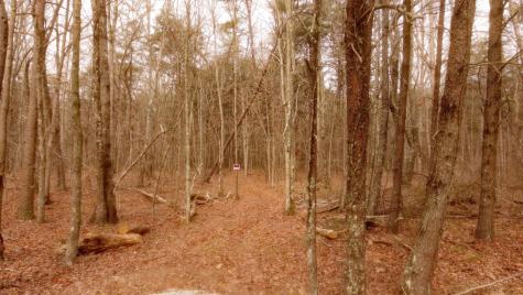 1188 Timberwood Trace Monteagle TN 37356