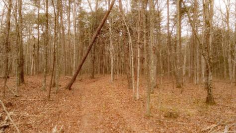 1188 Timberwood Trace Monteagle TN 37356