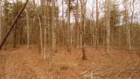 1188 Timberwood Trace Monteagle TN 37356