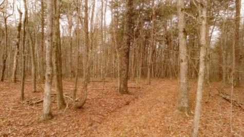 1188 Timberwood Trace Monteagle TN 37356
