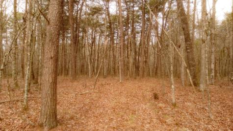 1188 Timberwood Trace Monteagle TN 37356
