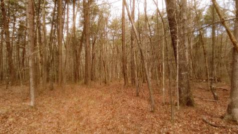1188 Timberwood Trace Monteagle TN 37356