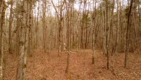 1188 Timberwood Trace Monteagle TN 37356
