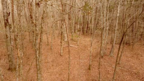 1188 Timberwood Trace Monteagle TN 37356