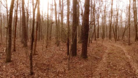 1188 Timberwood Trace Monteagle TN 37356