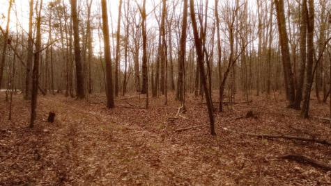 1188 Timberwood Trace Monteagle TN 37356