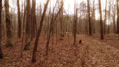 1188 Timberwood Trace Monteagle TN 37356