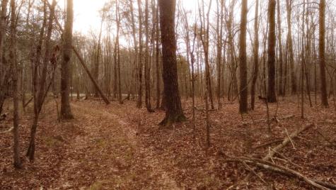 1188 Timberwood Trace Monteagle TN 37356