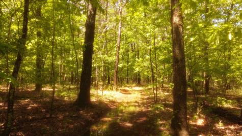 1188 Timberwood Trace Monteagle TN 37356