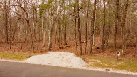 1188 Timberwood Trace Monteagle TN 37356