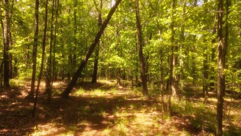 1188 Timberwood Trace Monteagle TN 37356