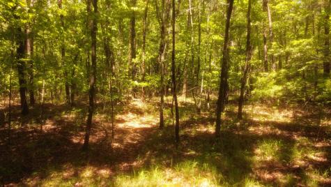 1188 Timberwood Trace Monteagle TN 37356