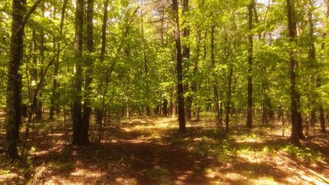 1188 Timberwood Trace Monteagle TN 37356