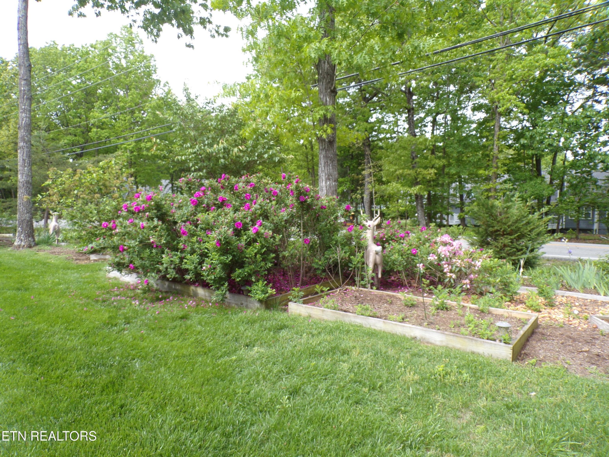 116 Huntington Drive Crossville TN 38558
