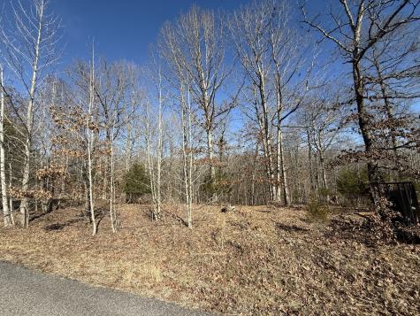 20 Backwoods Estates Indian Mound TN 37079