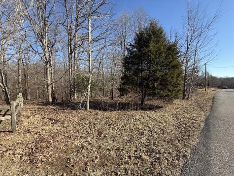 20 Backwoods Estates Indian Mound TN 37079