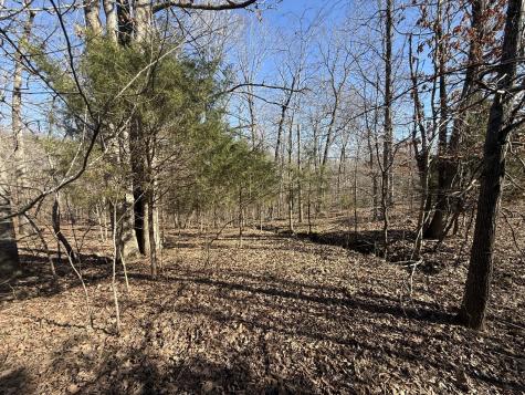 20 Backwoods Estates Indian Mound TN 37079