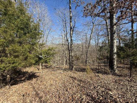 20 Backwoods Estates Indian Mound TN 37079
