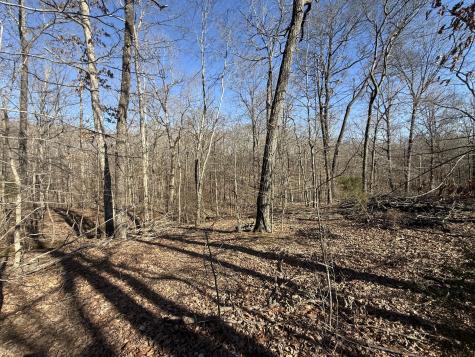 20 Backwoods Estates Indian Mound TN 37079