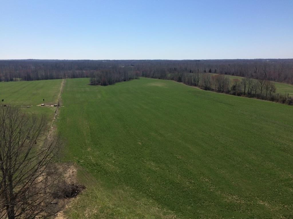 0 Sulphur Creek Road Big Sandy TN 38221