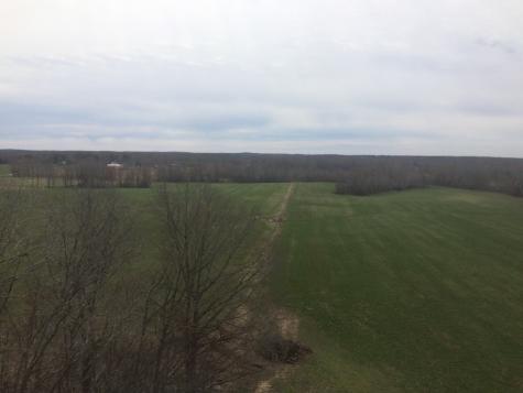 0 Sulphur Creek Road Big Sandy TN 38221