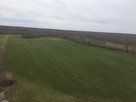 0 Sulphur Creek Road Big Sandy TN 38221
