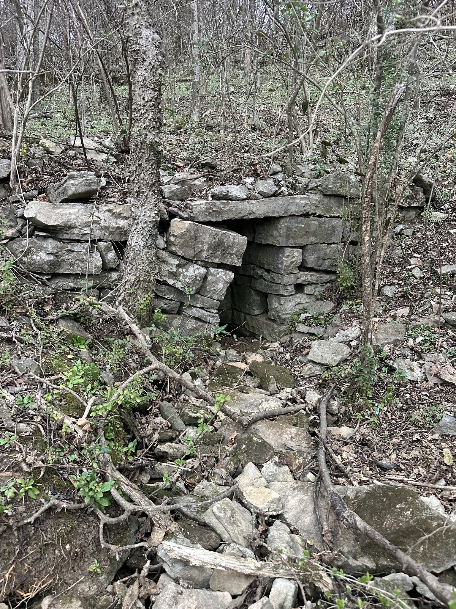 0 Highway 141, N Hartsville TN 37074