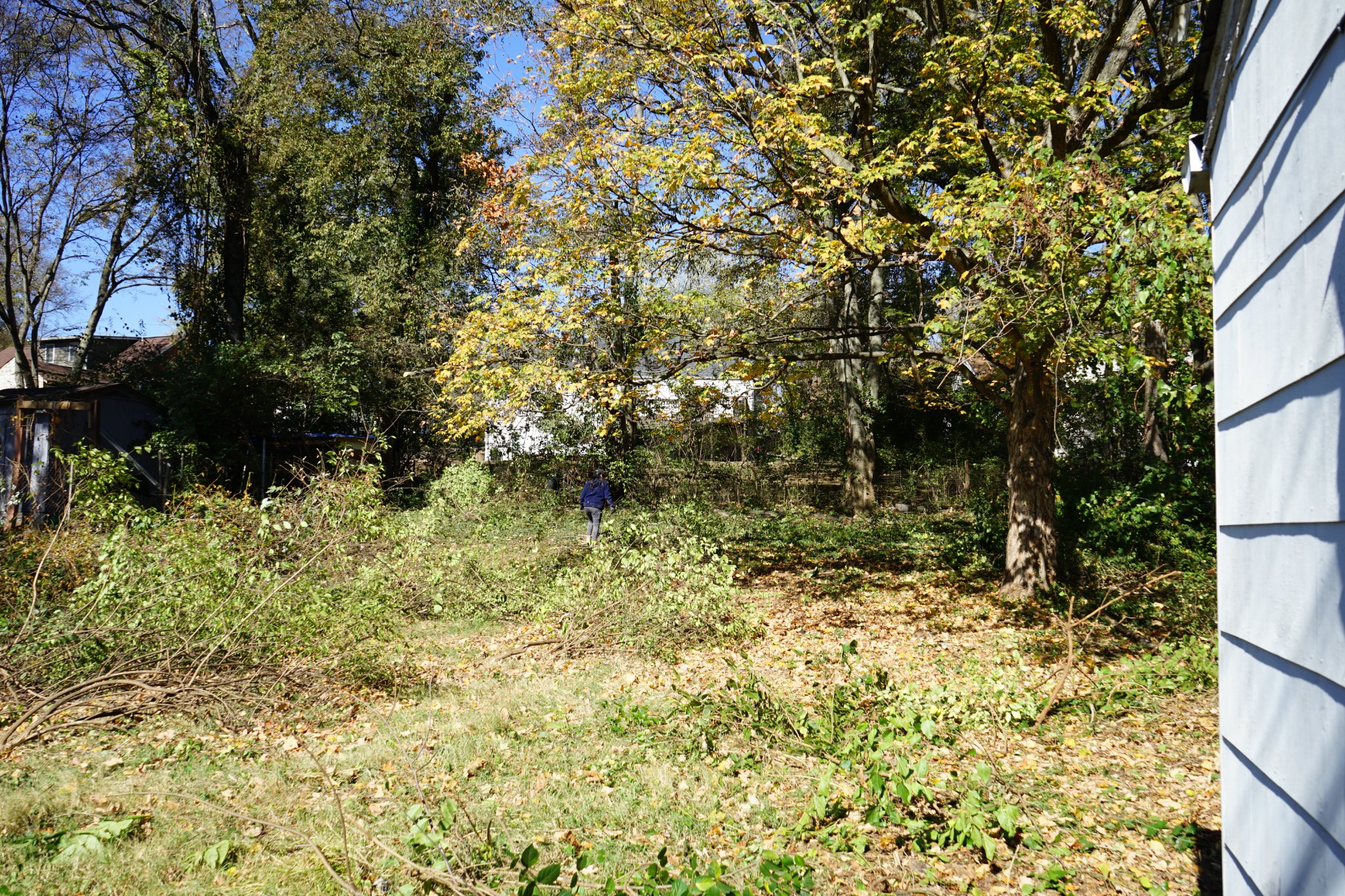 68 E Thompson Lane Nashville TN 37211