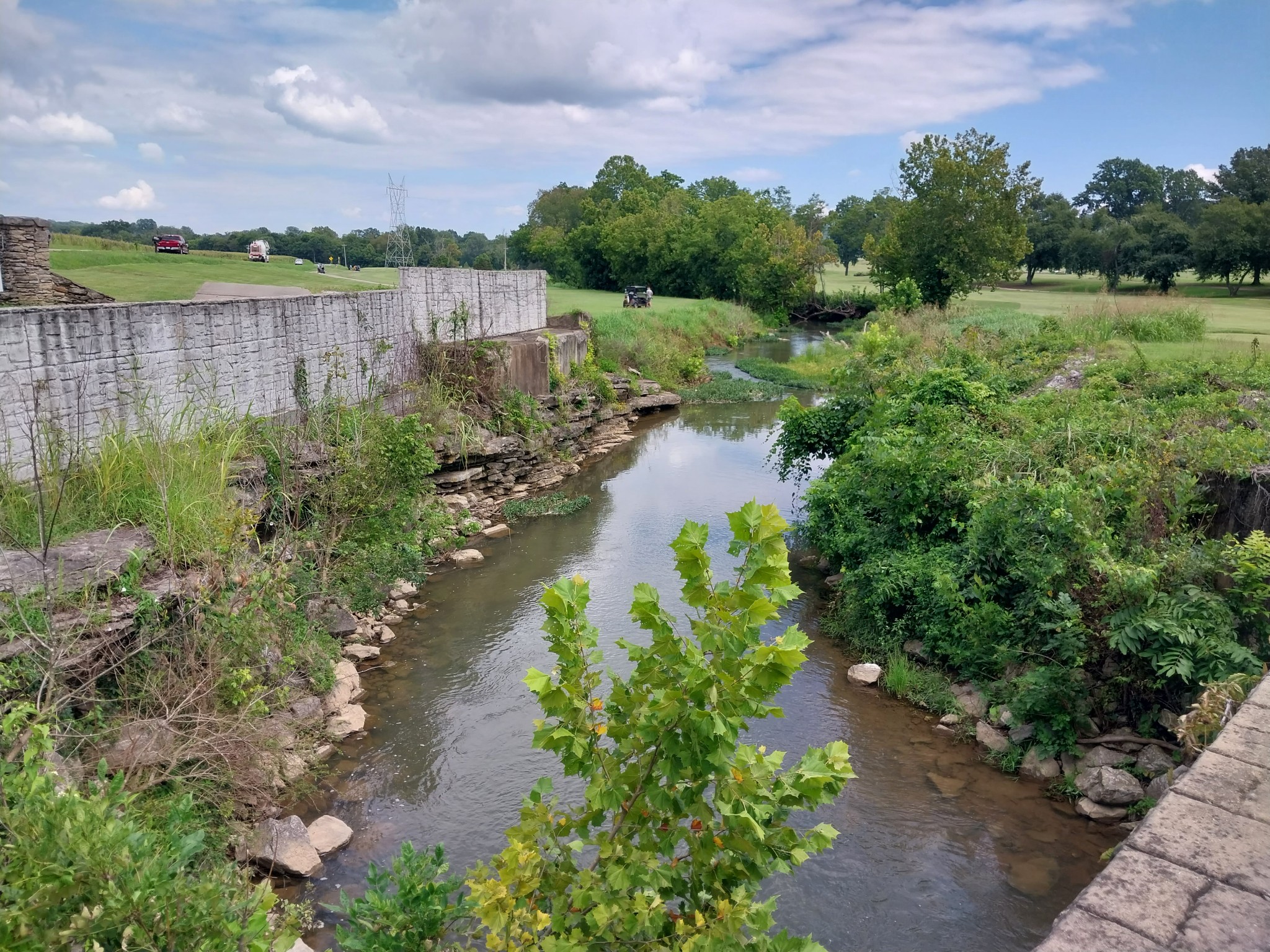 109 Masters Lane Columbia TN 38401