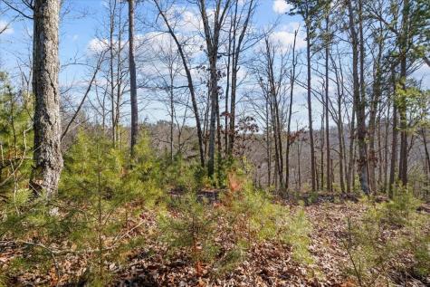 0 Crest Court Waverly TN 37185