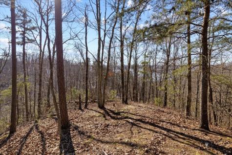 0 Crest Court Waverly TN 37185