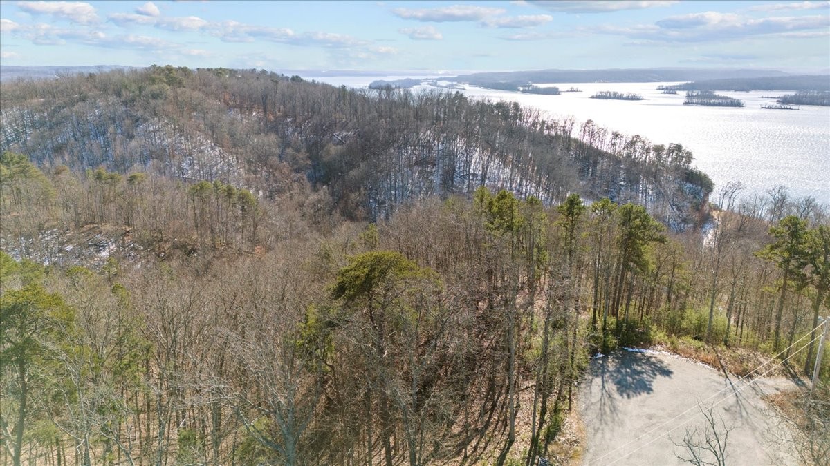 0 Crest Court Waverly TN 37185