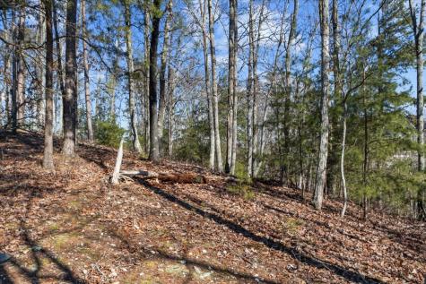 0 Crest Court Waverly TN 37185