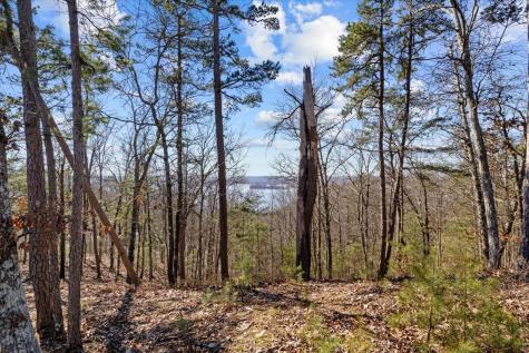 0 Crest Court Waverly TN 37185