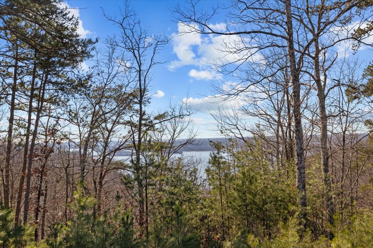 0 Crest Court Waverly TN 37185