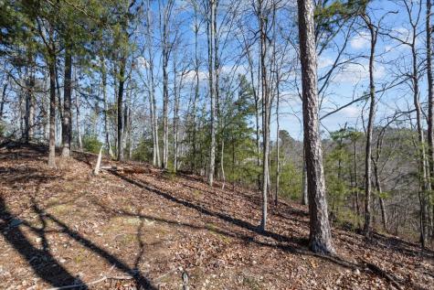 0 Crest Court Waverly TN 37185
