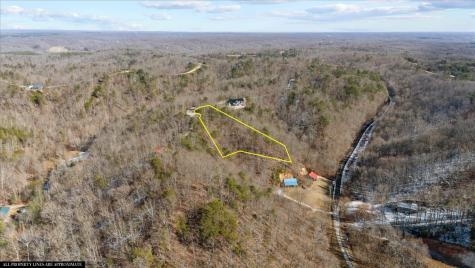 0 Crest Court Waverly TN 37185