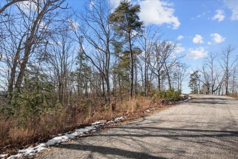 0 Crest Court Waverly TN 37185