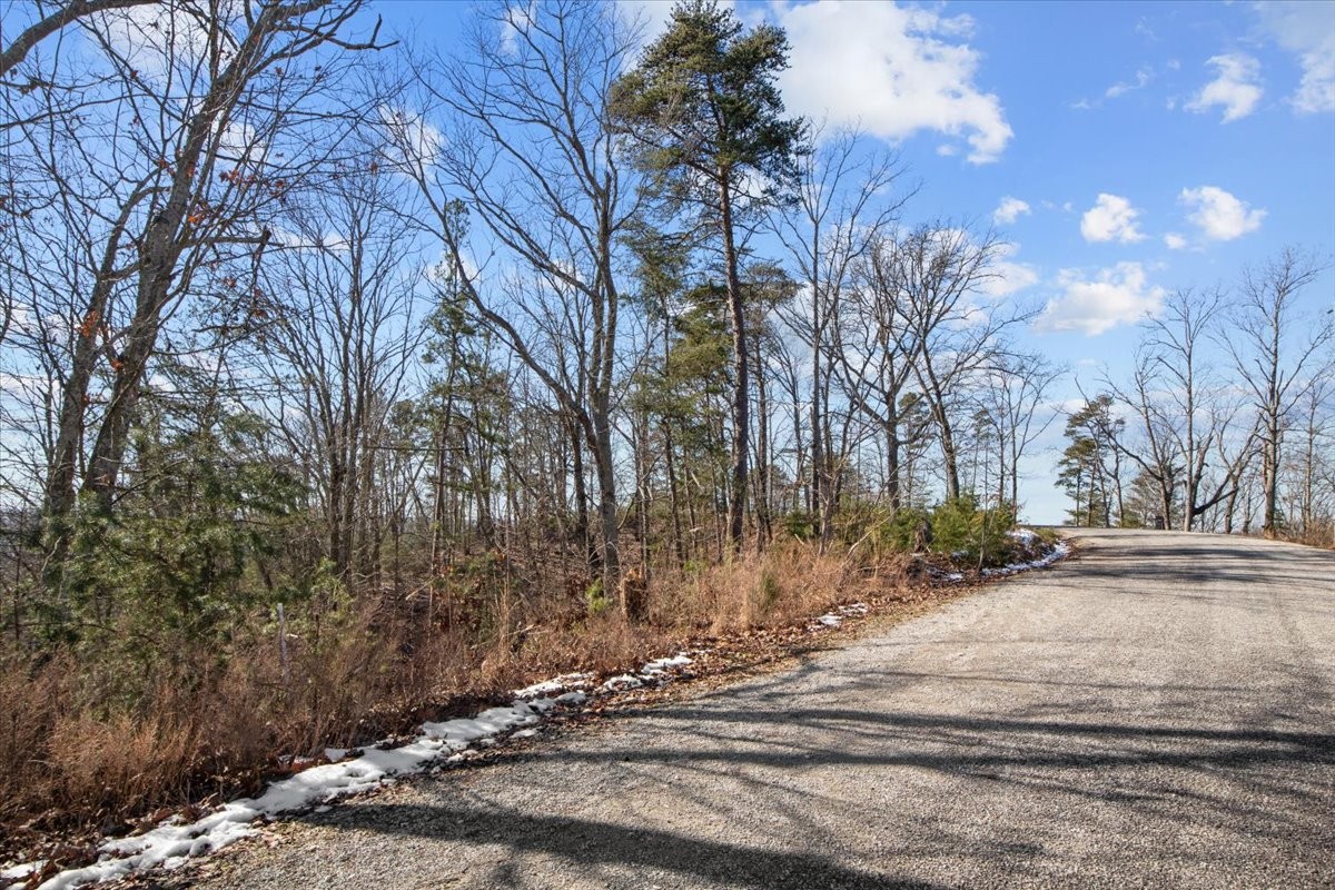 0 Crest Court Waverly TN 37185