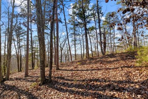 0 Crest Court Waverly TN 37185