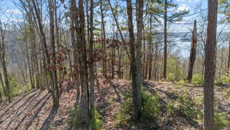 0 Crest Court Waverly TN 37185
