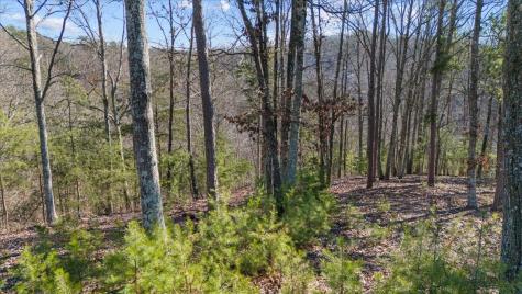0 Crest Court Waverly TN 37185