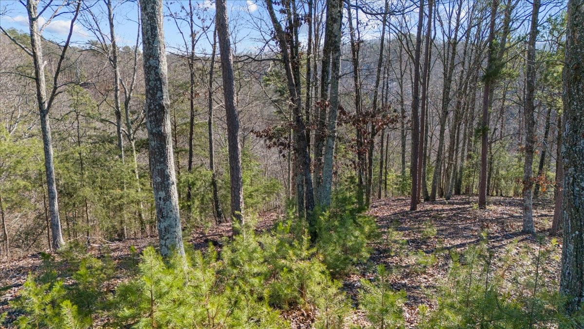 0 Crest Court Waverly TN 37185